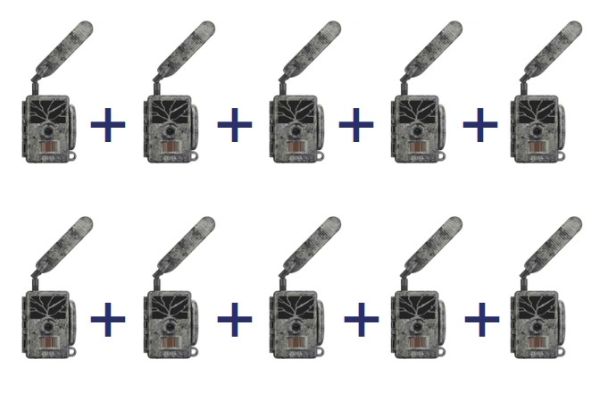 ZEISS Secacam 1 10er Pack